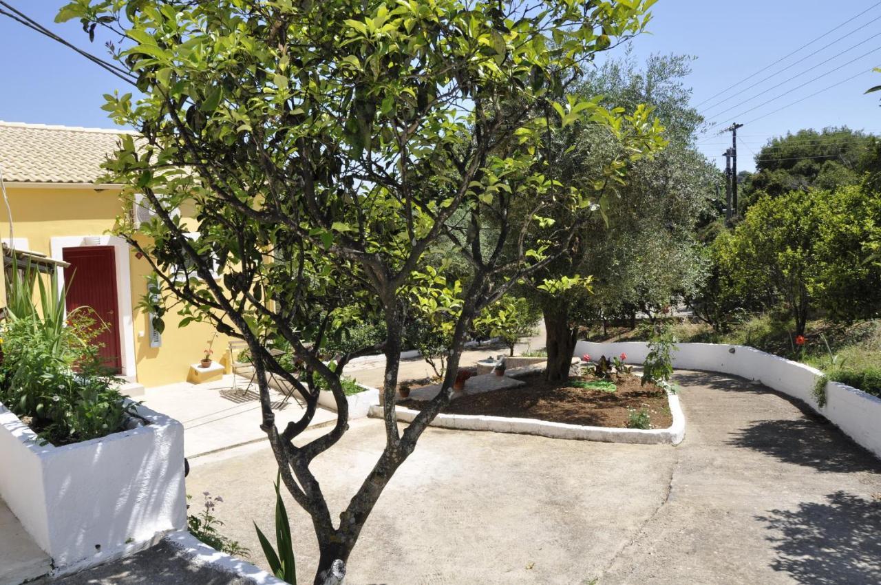 Braziliana Apartments Dasziá Kültér fotó